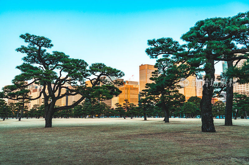 丸之内地区的摩天大楼，从Kokyo Gai看